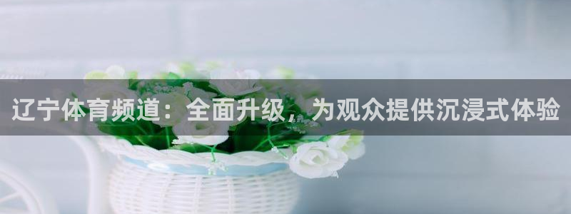 咪咕体育直播app下载：辽宁体育频道：全面升级，为观众提供沉浸式体验