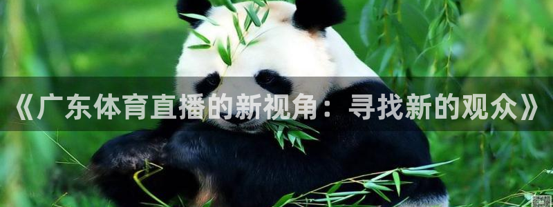 咪咕体育在线看：《广东体育直播的新视角：寻找新的观众》
