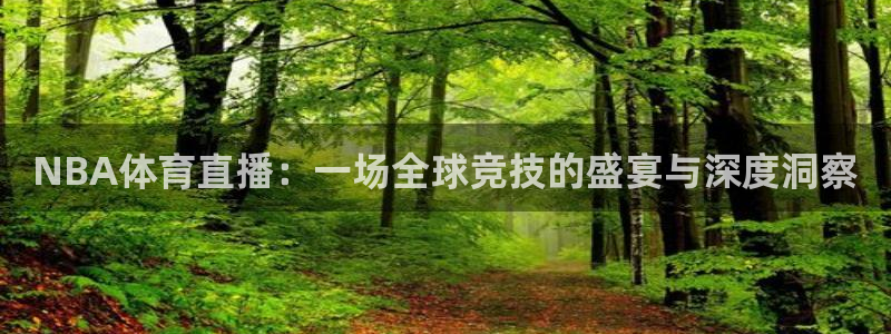 咪咕体育网页版入口：NBA体育直播：一场全球竞技的盛宴与深度洞察