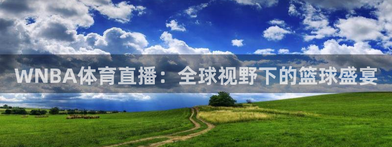 咪咕咪咕体育直播：WNBA体育直播：全球视野下的篮球盛宴