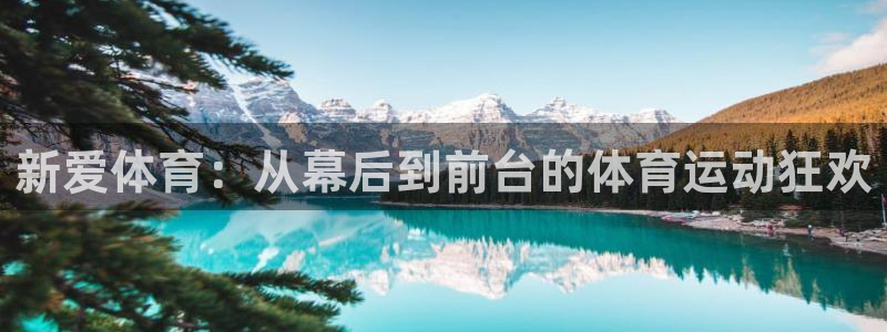 咪咕体育视频直播官网：新爱体育：从幕后到前台的体育运动狂欢