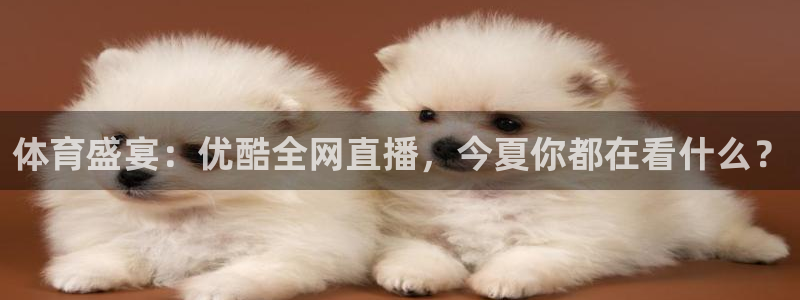 咪咕体育是哪个公司的：体育盛宴：优酷全网直播，今夏你都在看什么？