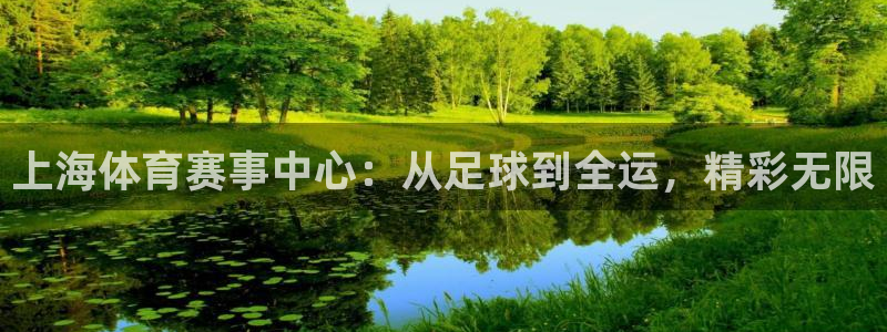 咪咕体育免费观看高清：上海体育赛事中心：从足球到全运，精彩无限
