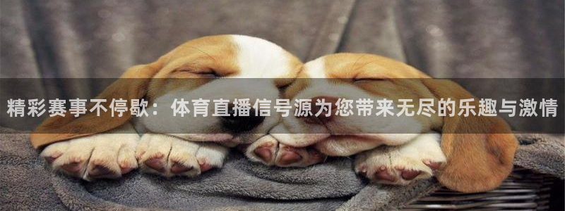 下载咪咕体育直播：精彩赛事不停歇：体育直播信号源为您带来无尽的乐趣与激情