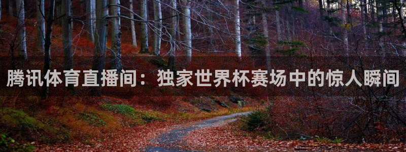 咪咕体育直播：腾讯体育直播间：独家世界杯赛场中的惊人瞬间