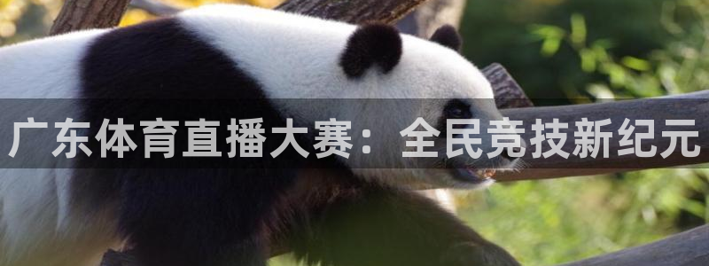 咪咕体育赛事直播：广东体育直播大赛：全民竞技新纪元