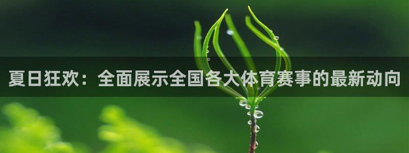 咪咕体育客服电话：夏日狂欢：全面展示全国各大体育赛事的最新动向