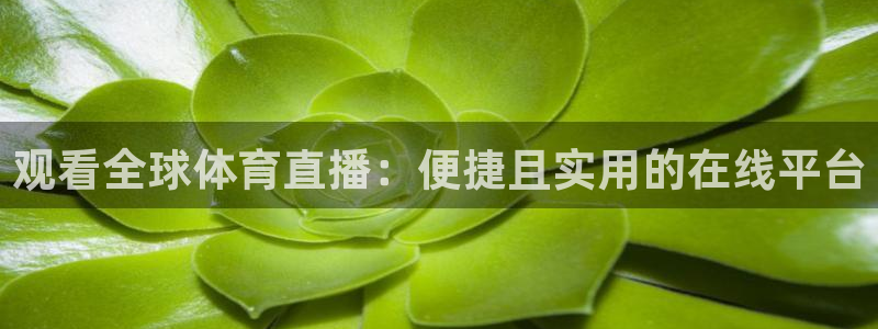咪咕体育赛事直播：观看全球体育直播：便捷且实用的在线平台