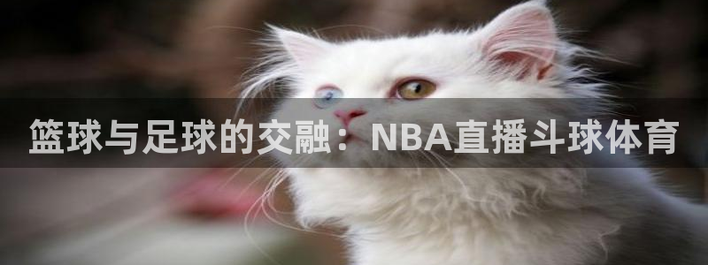 咪咕体育官网：篮球与足球的交融：NBA直播斗球体育