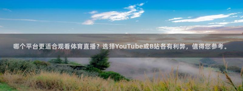 咪咕体育在线观看：哪个平台更适合观看体育直播？选择YouTube或B站各有利弊，值得您参考。