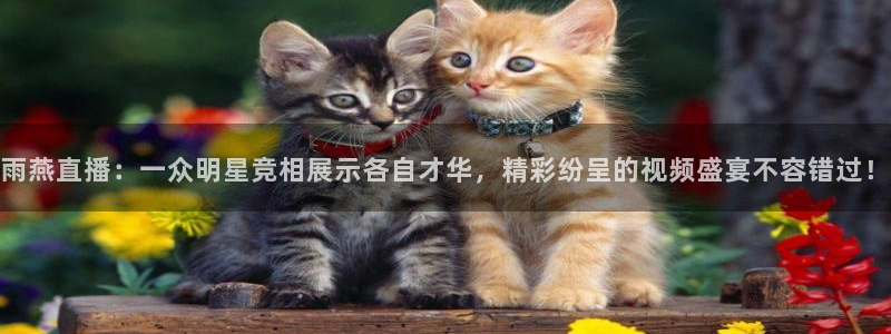 咪咕体育直播 免费：雨燕直播：一众明星竞相展示各自才华，精彩纷呈的视频盛宴不容错过！