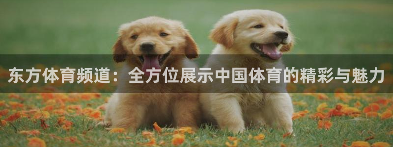 下载咪咕体育视频：东方体育频道：全方位展示中国体育的精彩与魅力